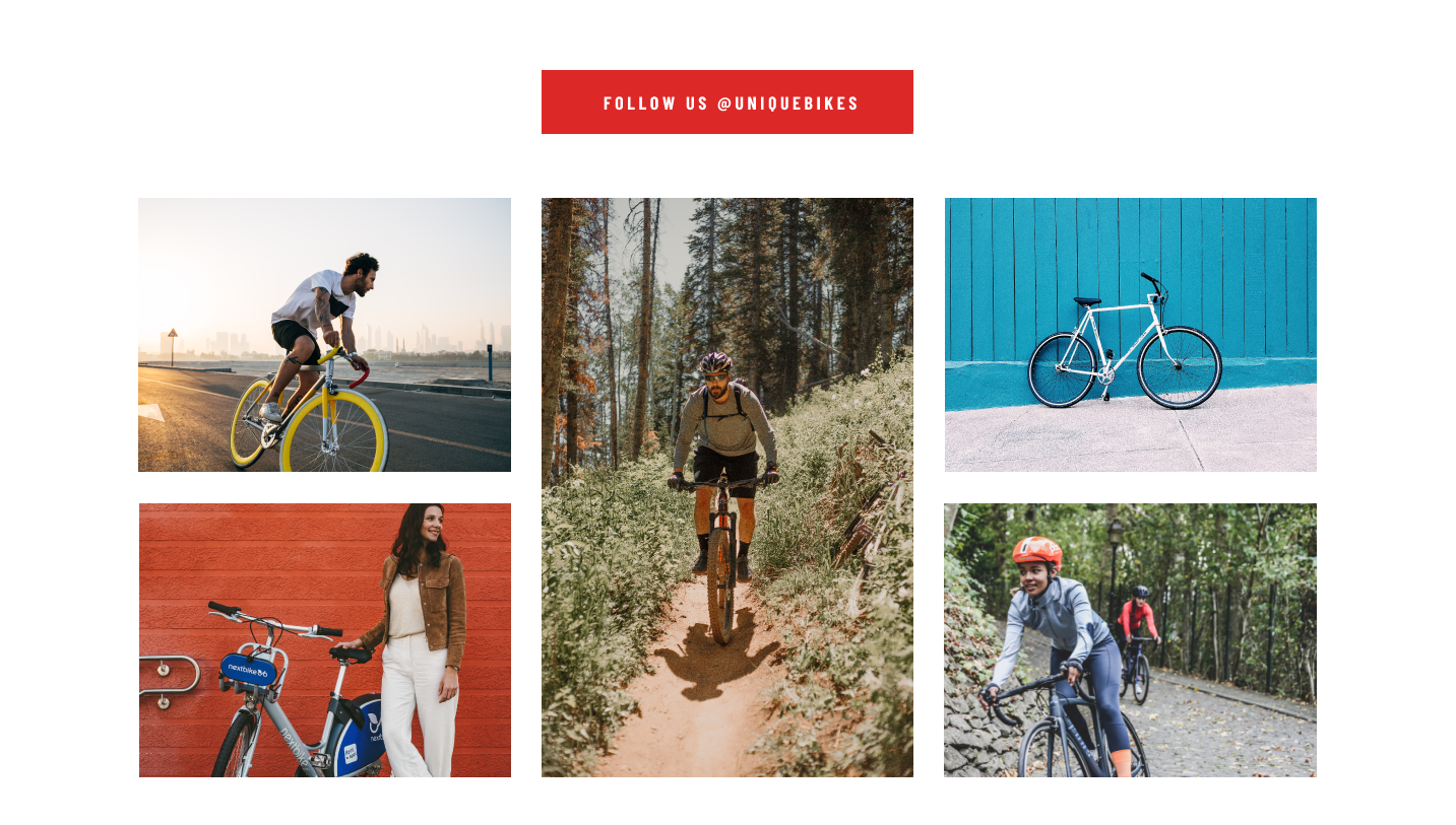 Unique Bikes preview 3